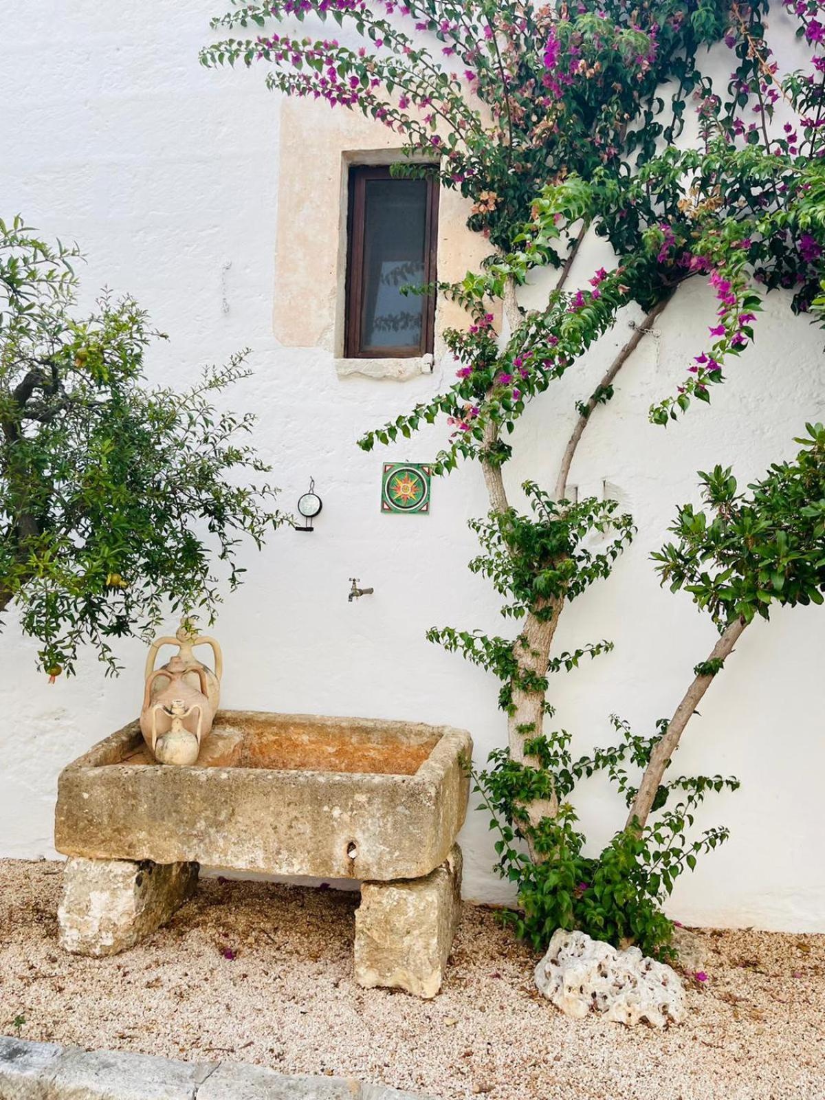 Masseria Palmo فرانكافيلا فونتانا المظهر الخارجي الصورة