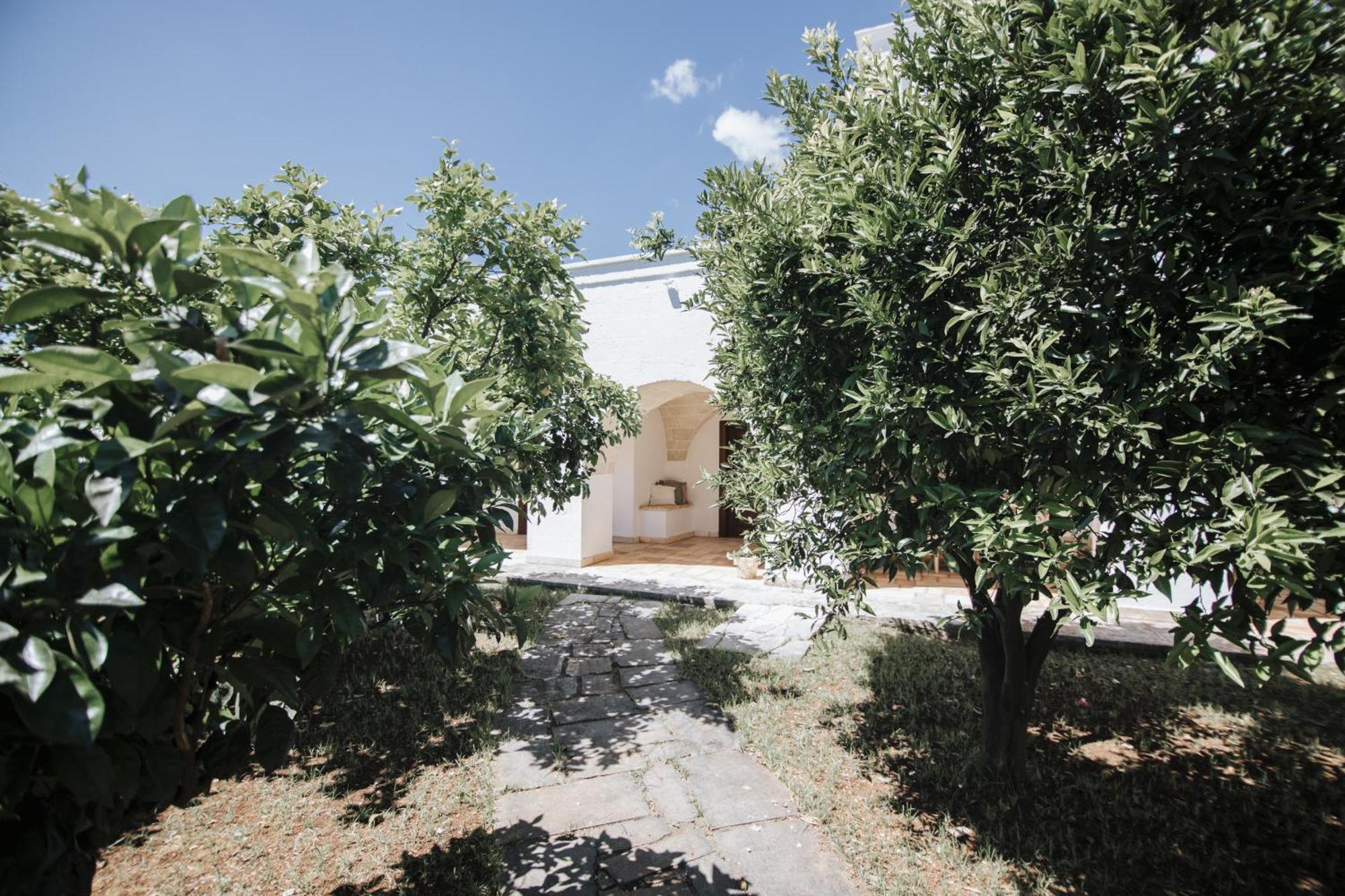 Masseria Palmo فرانكافيلا فونتانا المظهر الخارجي الصورة