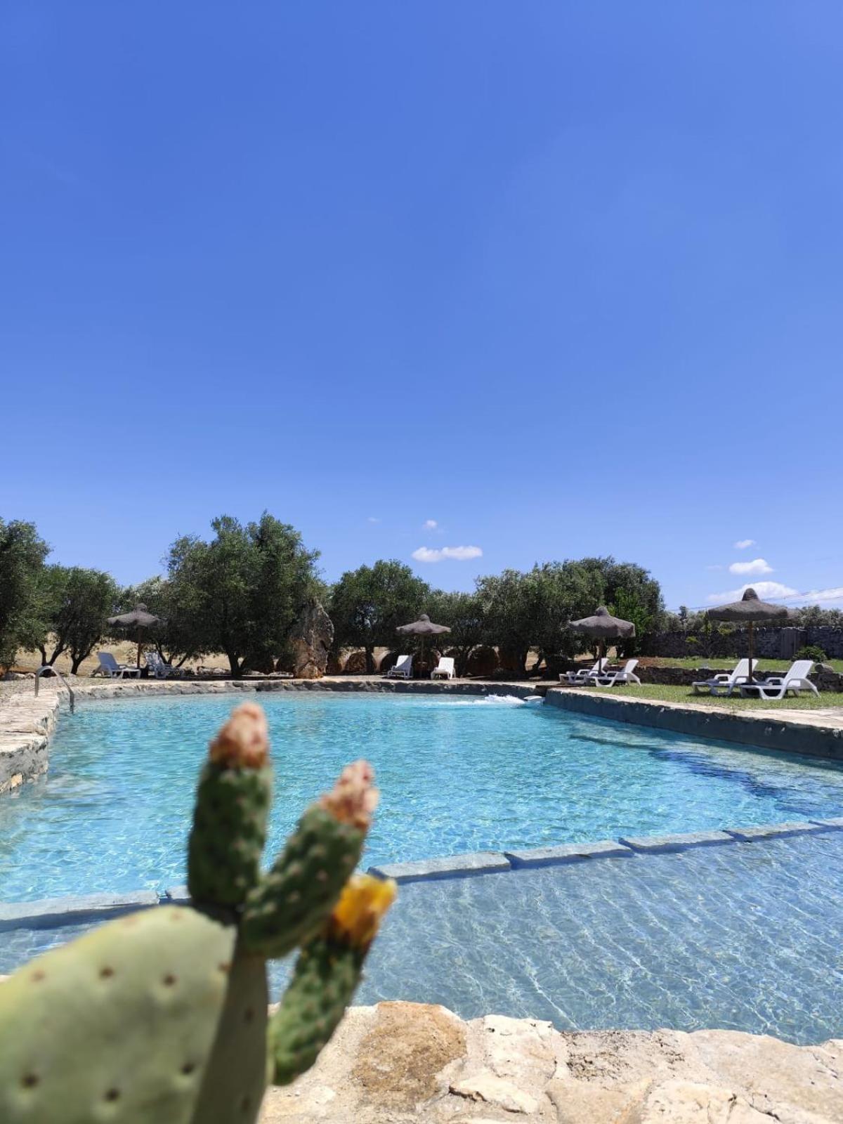 Masseria Palmo فرانكافيلا فونتانا المظهر الخارجي الصورة