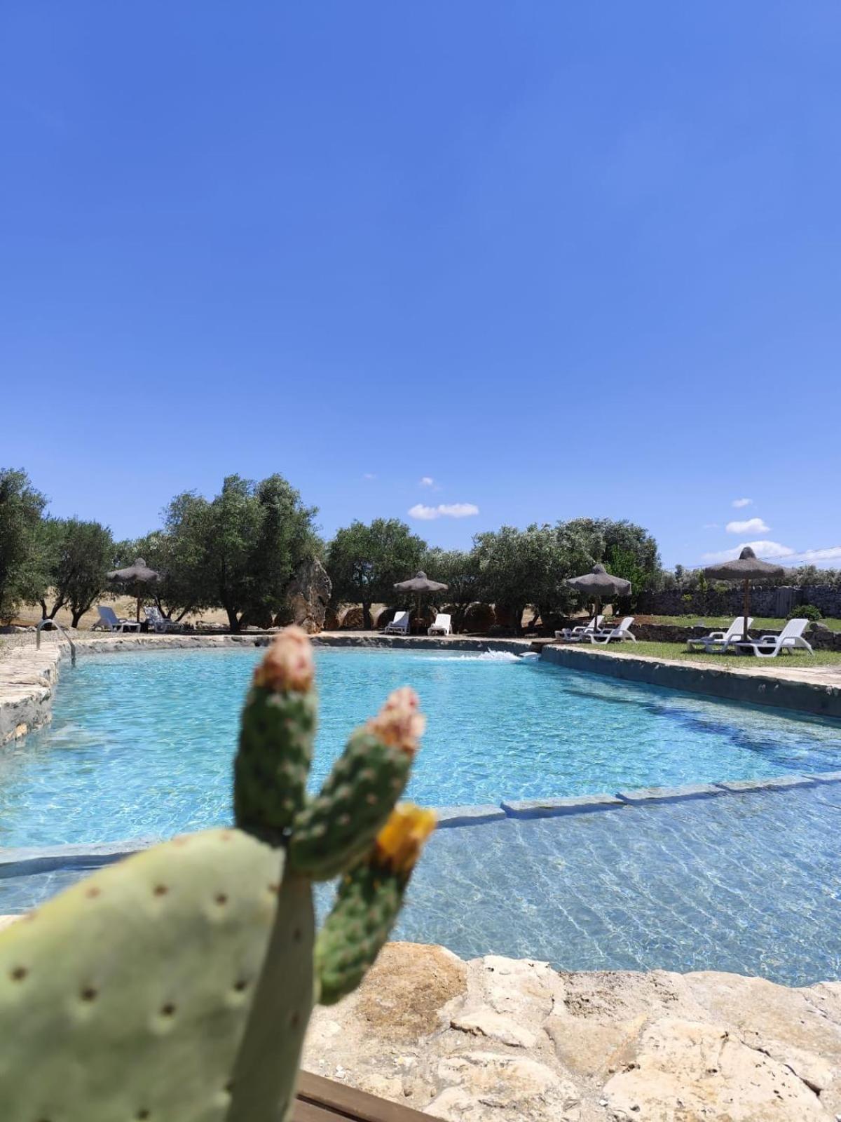 Masseria Palmo فرانكافيلا فونتانا المظهر الخارجي الصورة