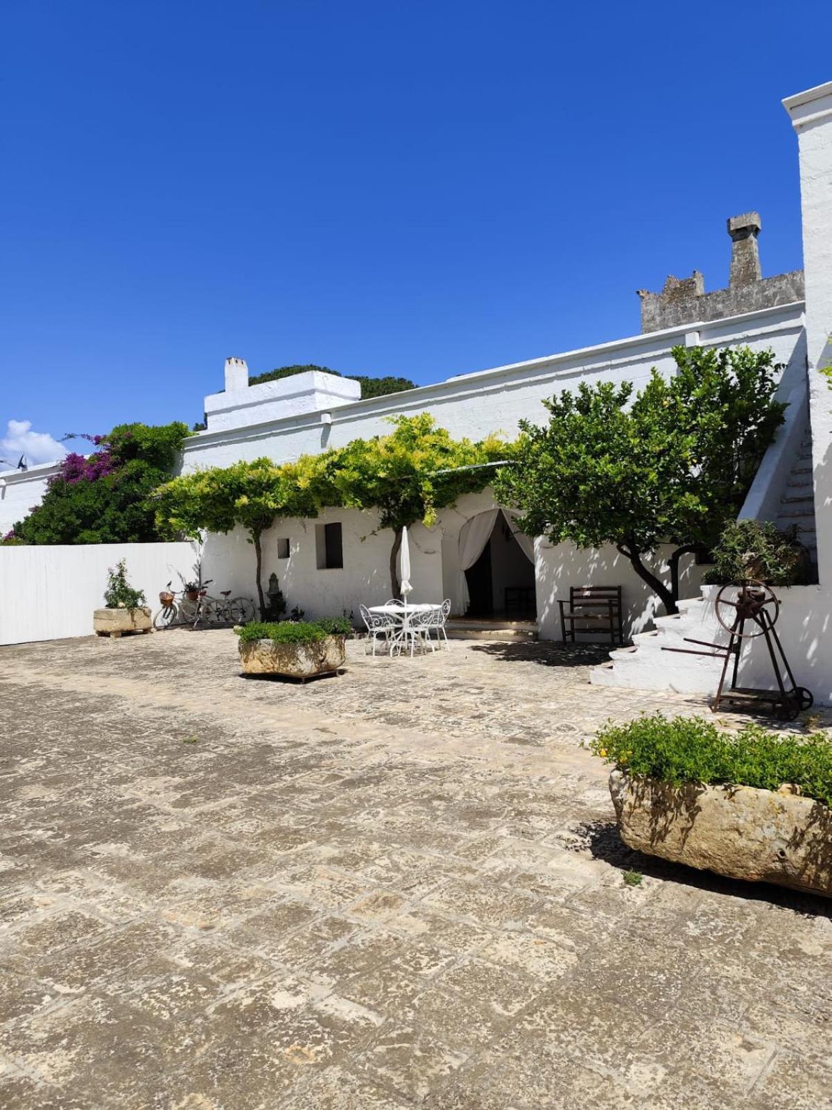 Masseria Palmo فرانكافيلا فونتانا المظهر الخارجي الصورة
