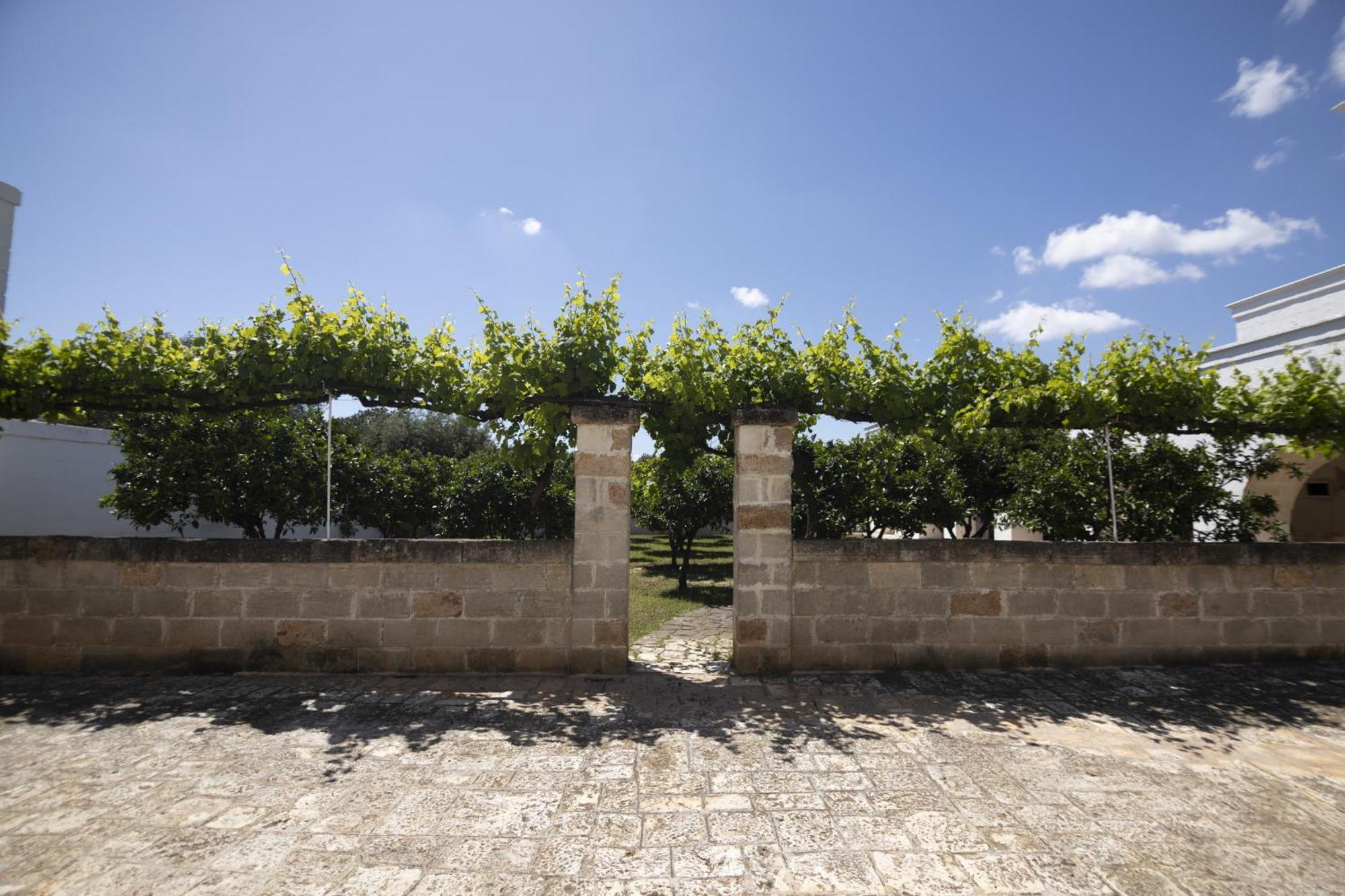 Masseria Palmo فرانكافيلا فونتانا المظهر الخارجي الصورة
