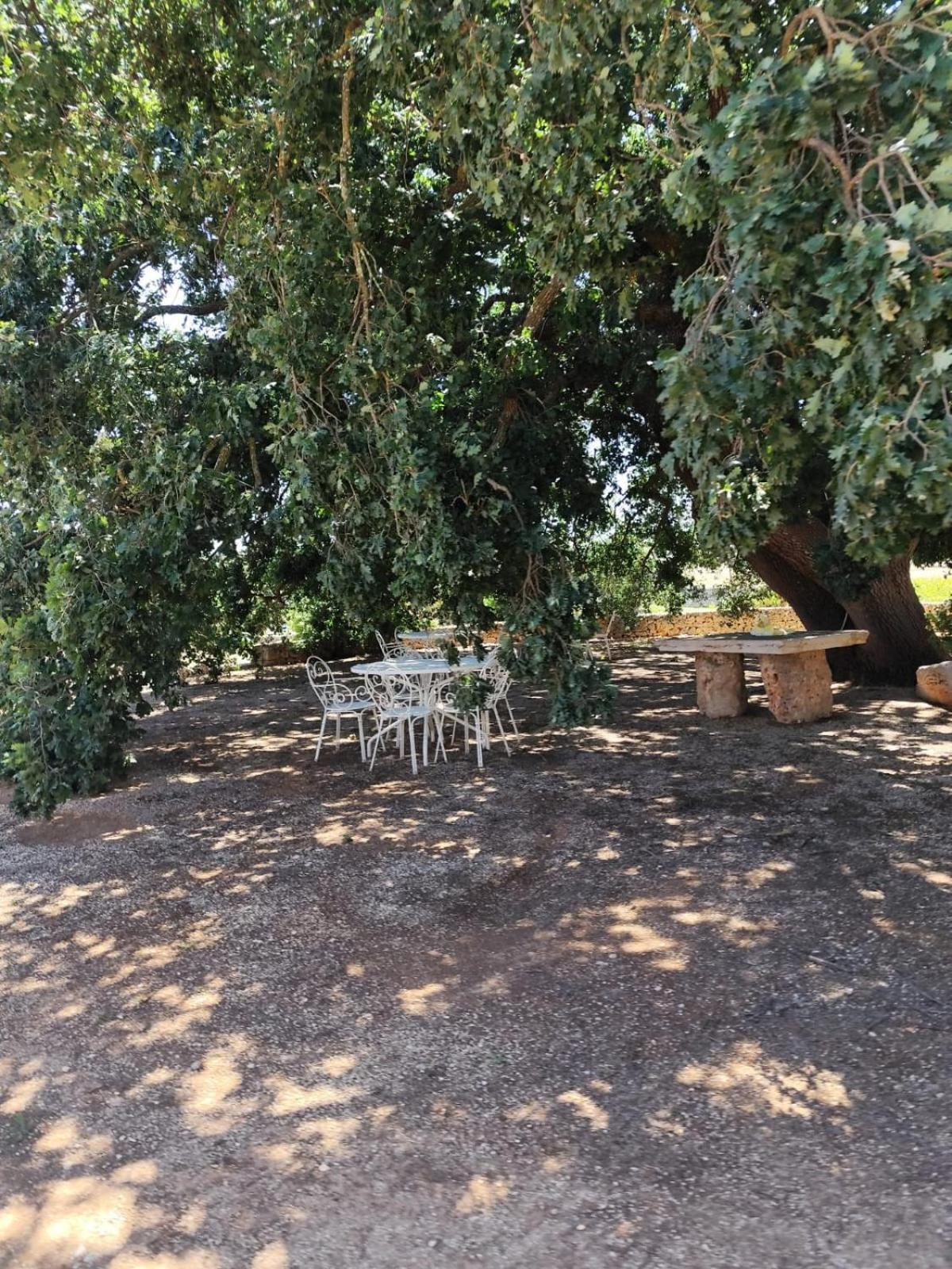 Masseria Palmo فرانكافيلا فونتانا المظهر الخارجي الصورة