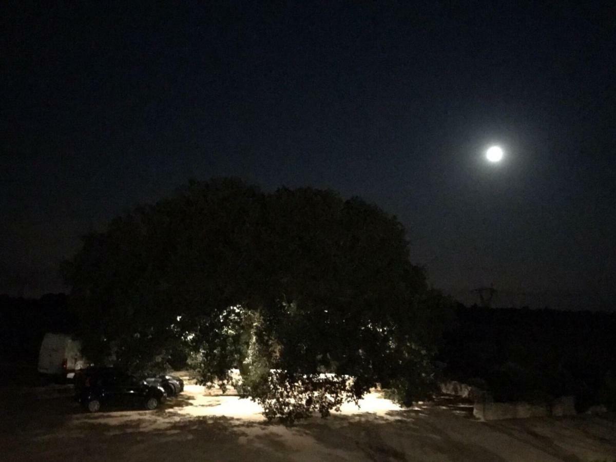Masseria Palmo فرانكافيلا فونتانا المظهر الخارجي الصورة