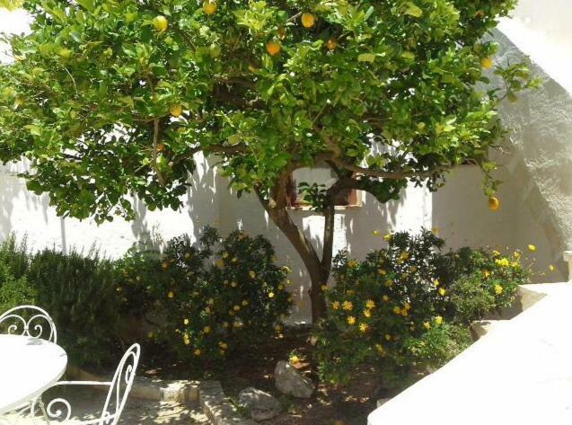 Masseria Palmo فرانكافيلا فونتانا المظهر الخارجي الصورة